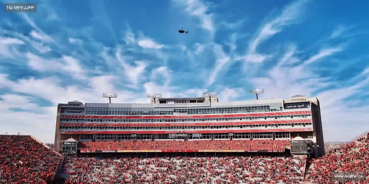 为什么选择我们